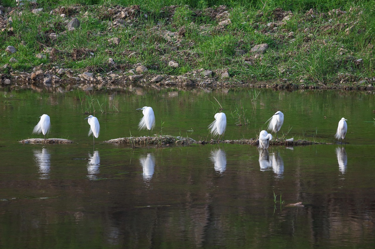 The Evolution Of Breaking News In The Digital Age A Historical Perspective