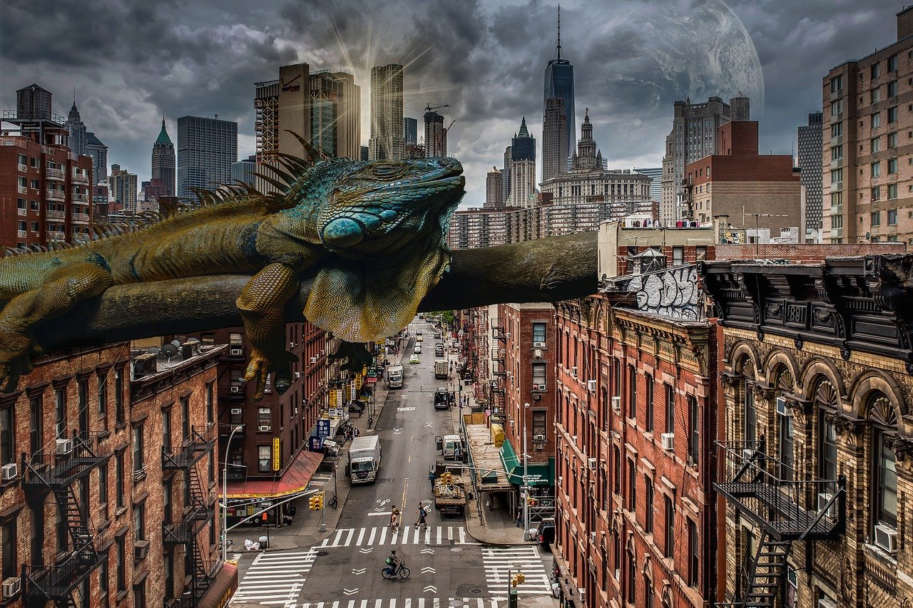 The Global Perspective