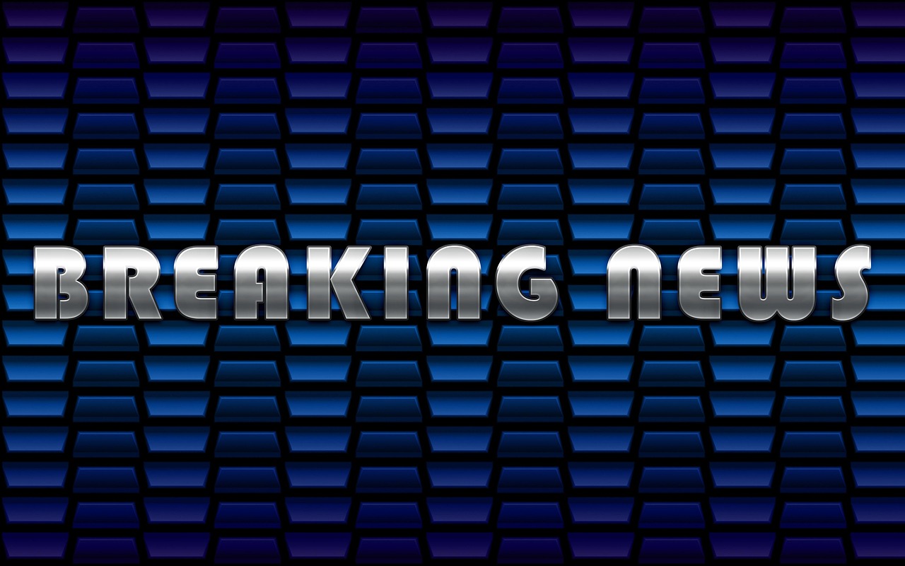 The Role of Journalists and News Organizations